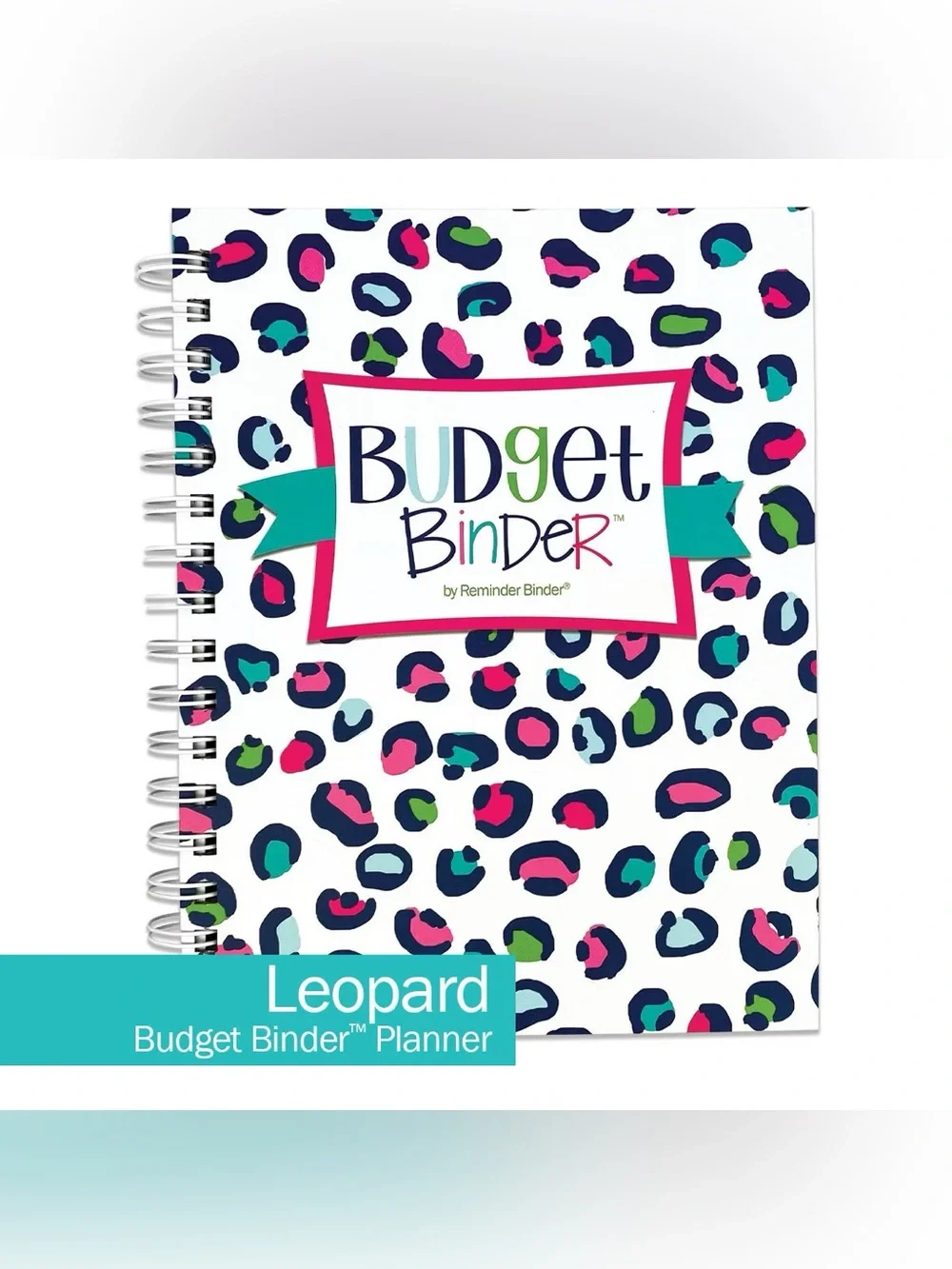 Denise Albright 12-Month Budget Planner, Bill & Expense Tracker, Undated, NWT